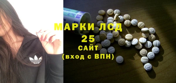 молекула духа Богданович