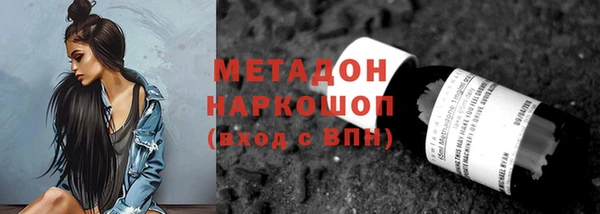 молекула духа Богданович