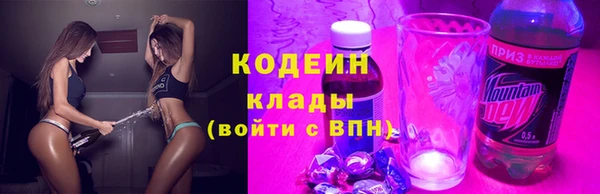 молекула духа Богданович