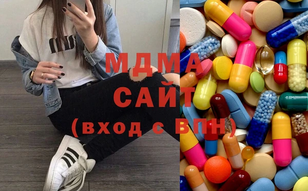 молекула духа Богданович
