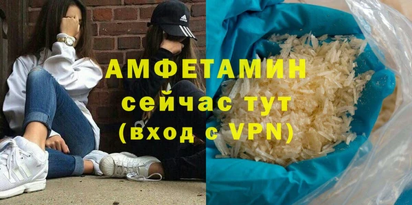 молекула духа Богданович
