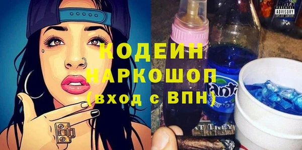молекула духа Богданович