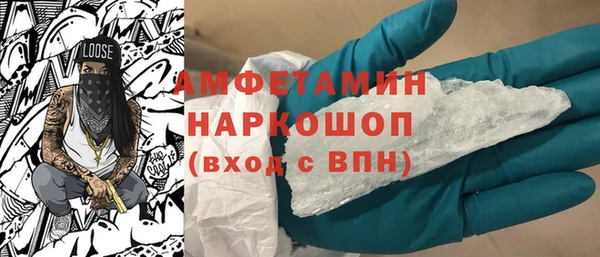 молекула духа Богданович