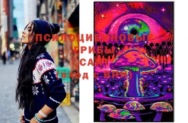 прущие крисы Богородицк